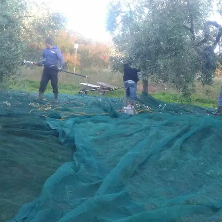 Baduerughe - Valledellago *